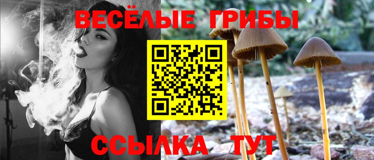 Псилоцибиновые грибы GOLDEN TEACHER Назрань