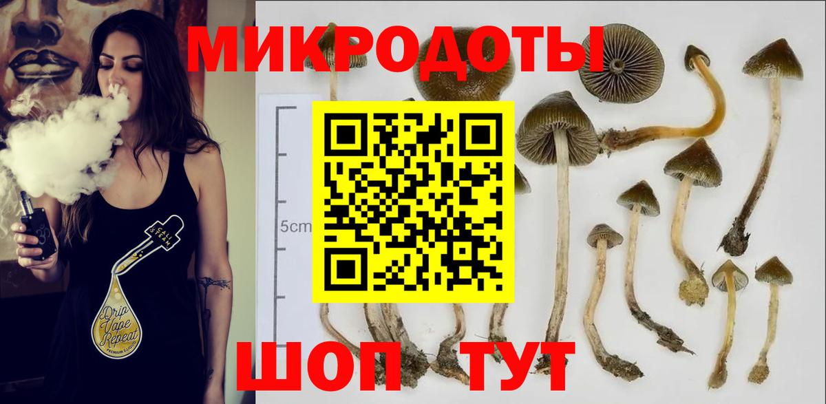 Назрань  где найти   Вход с VPN  Псилоцибиновые грибы прущие грибы 